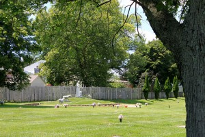 Good Shepherd garden landscape view of featured statues.