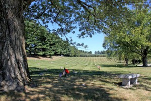 Peace Garden with a bench shaded under large tree.