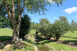 Rose of Sharon cremation garden front view with trees and bushes.